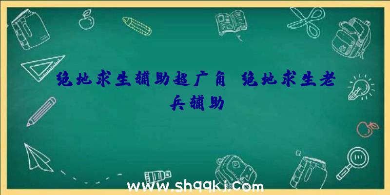 绝地求生辅助超广角、绝地求生老兵辅助