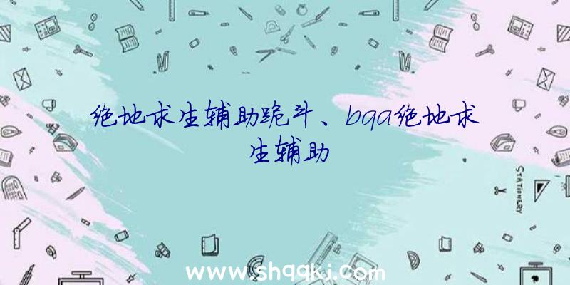 绝地求生辅助跪斗、bqa绝地求生辅助