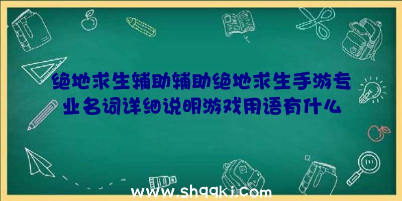 绝地求生辅助辅助绝地求生手游专业名词详细说明游戏用语有什么