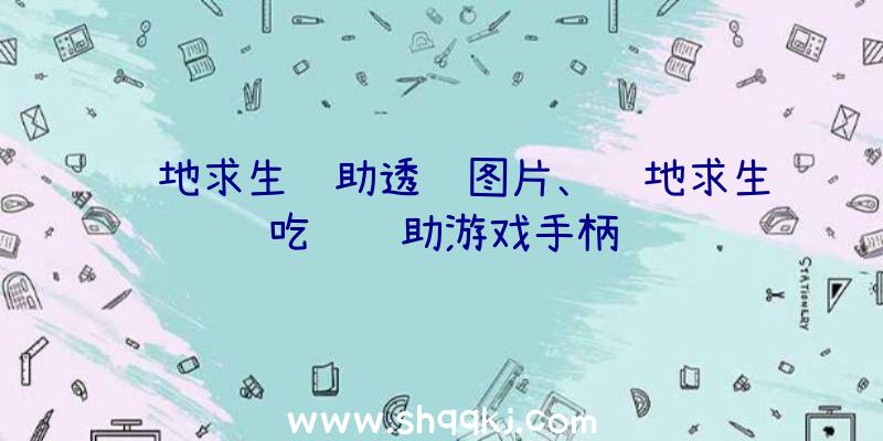 绝地求生辅助透视图片、绝地求生吃鸡辅助游戏手柄