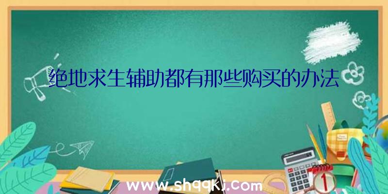 绝地求生辅助都有那些购买的办法