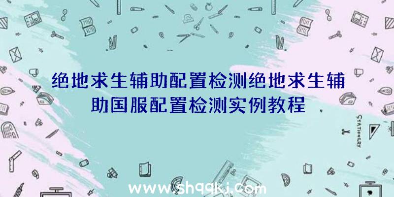 绝地求生辅助配置检测绝地求生辅助国服配置检测实例教程