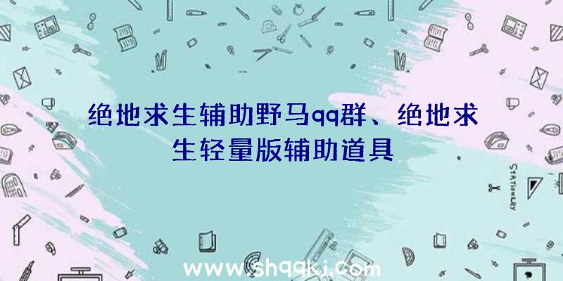 绝地求生辅助野马qq群、绝地求生轻量版辅助道具