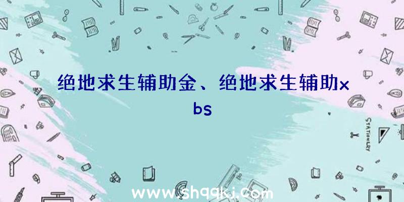 绝地求生辅助金、绝地求生辅助xbs