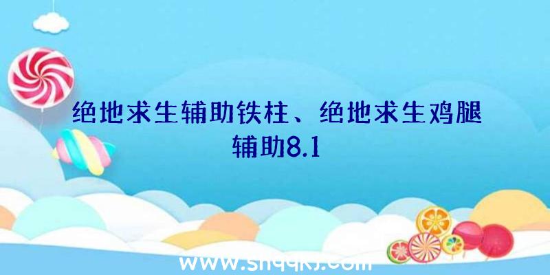 绝地求生辅助铁柱、绝地求生鸡腿辅助8.1