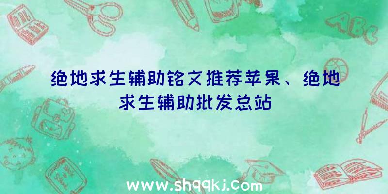 绝地求生辅助铭文推荐苹果、绝地求生辅助批发总站