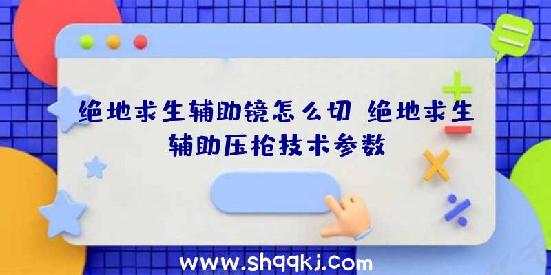 绝地求生辅助镜怎么切、绝地求生辅助压枪技术参数