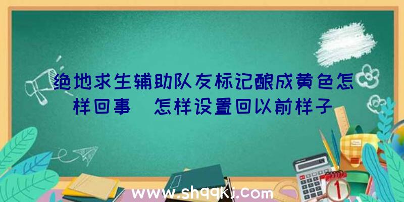 绝地求生辅助队友标记酿成黄色怎样回事_怎样设置回以前样子