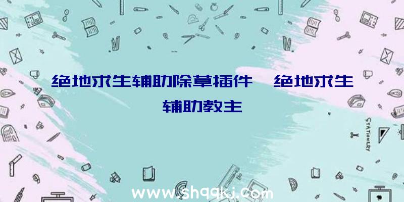 绝地求生辅助除草插件、绝地求生辅助教主