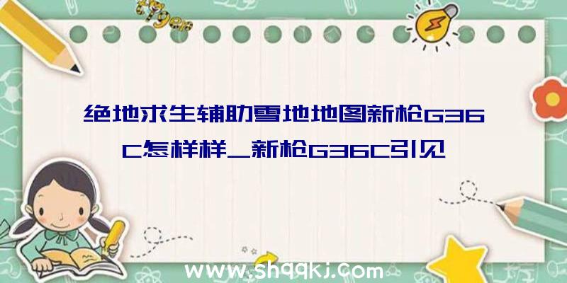 绝地求生辅助雪地地图新枪G36C怎样样_新枪G36C引见