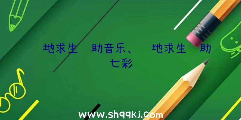 绝地求生辅助音乐、绝地求生辅助七彩