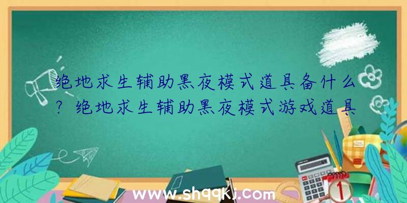 绝地求生辅助黑夜模式道具备什么？绝地求生辅助黑夜模式游戏道具全集