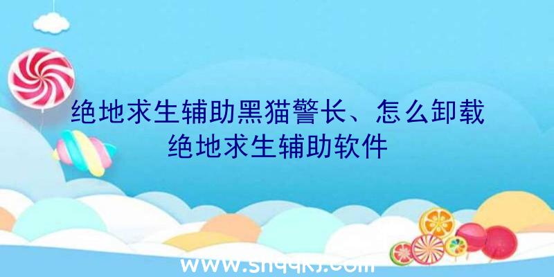 绝地求生辅助黑猫警长、怎么卸载绝地求生辅助软件