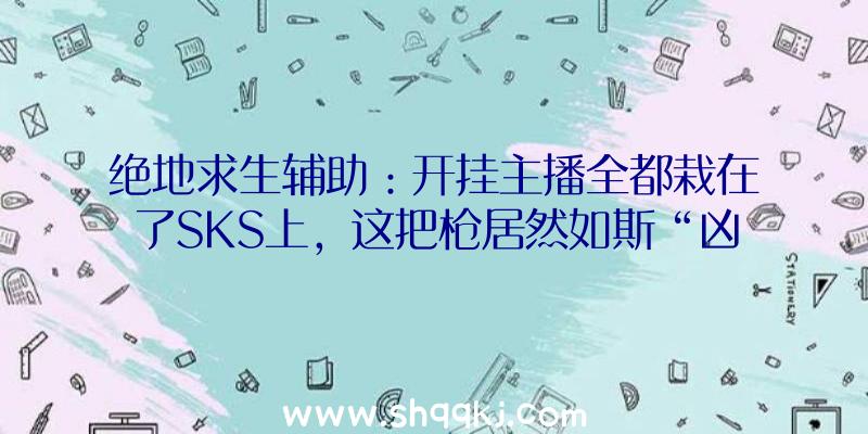 绝地求生辅助：开挂主播全都栽在了SKS上，这把枪居然如斯“凶猛”？