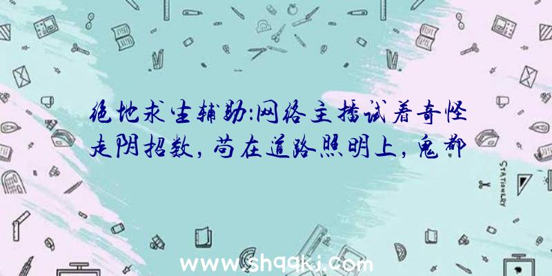 绝地求生辅助：网络主播试着奇怪走阴招数，苟在道路照明上，鬼都看不见