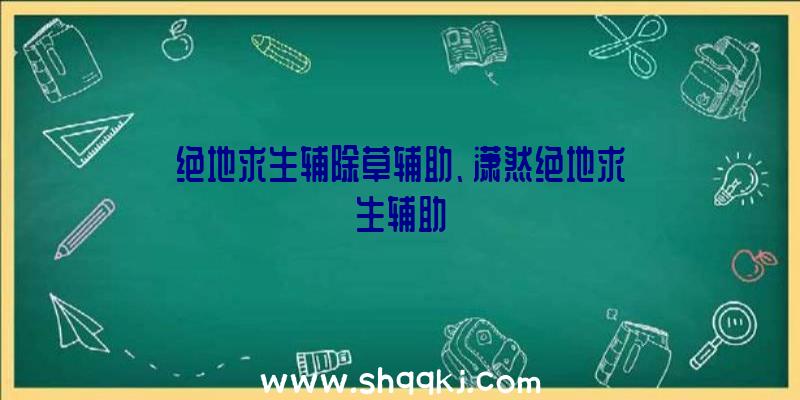 绝地求生辅除草辅助、潇然绝地求生辅助