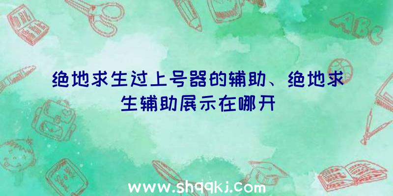 绝地求生过上号器的辅助、绝地求生辅助展示在哪开