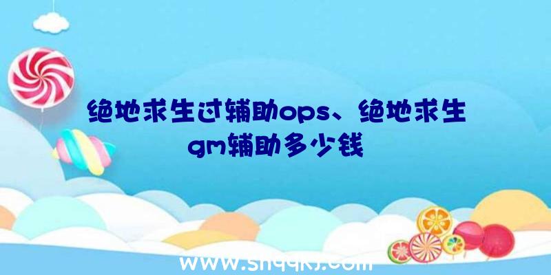 绝地求生过辅助ops、绝地求生gm辅助多少钱