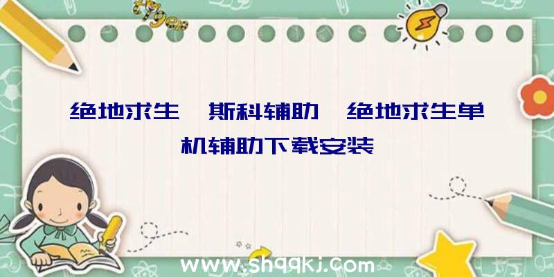 绝地求生迪斯科辅助、绝地求生单机辅助下载安装