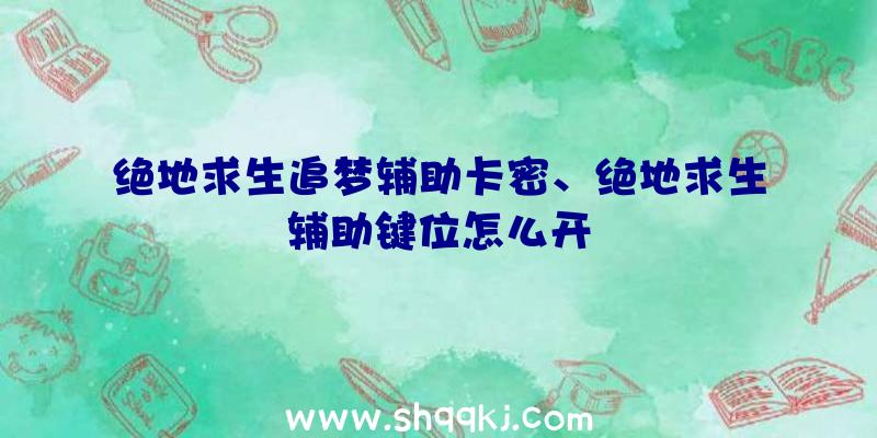 绝地求生追梦辅助卡密、绝地求生辅助键位怎么开