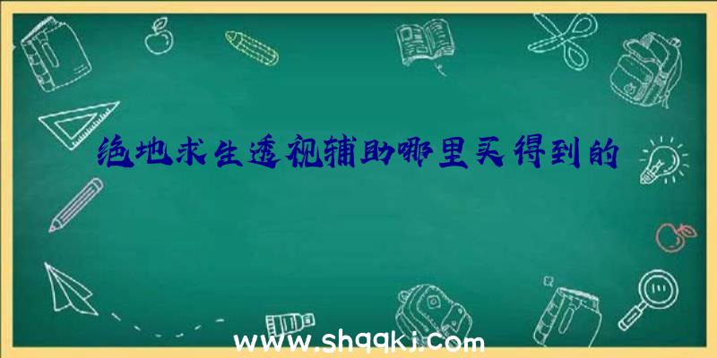 绝地求生透视辅助哪里买得到的