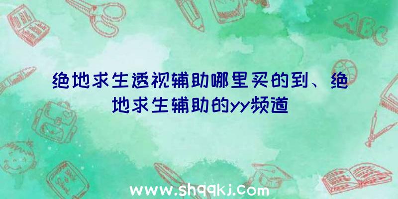 绝地求生透视辅助哪里买的到、绝地求生辅助的yy频道