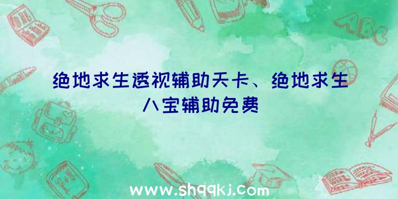 绝地求生透视辅助天卡、绝地求生八宝辅助免费