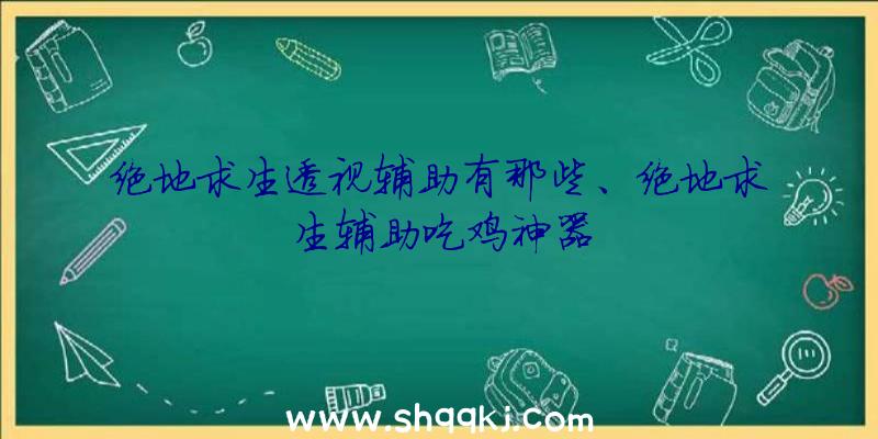 绝地求生透视辅助有那些、绝地求生辅助吃鸡神器