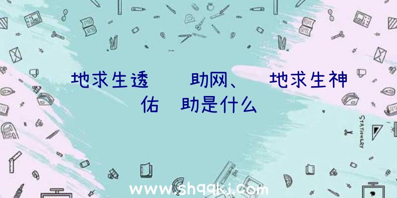 绝地求生透视辅助网、绝地求生神佑辅助是什么