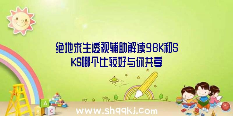 绝地求生透视辅助解读98K和SKS哪个比较好与你共享