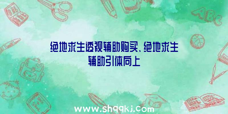 绝地求生透视辅助购买、绝地求生辅助引体向上