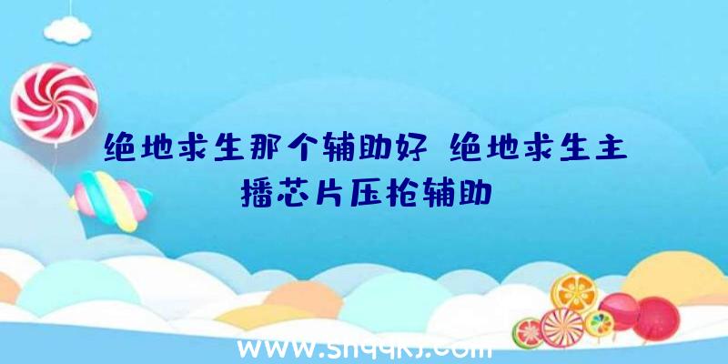 绝地求生那个辅助好、绝地求生主播芯片压枪辅助