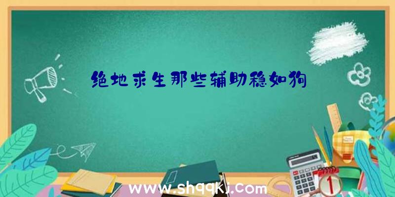 绝地求生那些辅助稳如狗