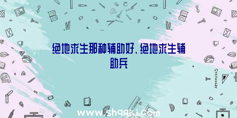 绝地求生那种辅助好、绝地求生辅助兵