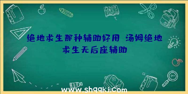 绝地求生那种辅助好用、汤姆绝地求生无后座辅助