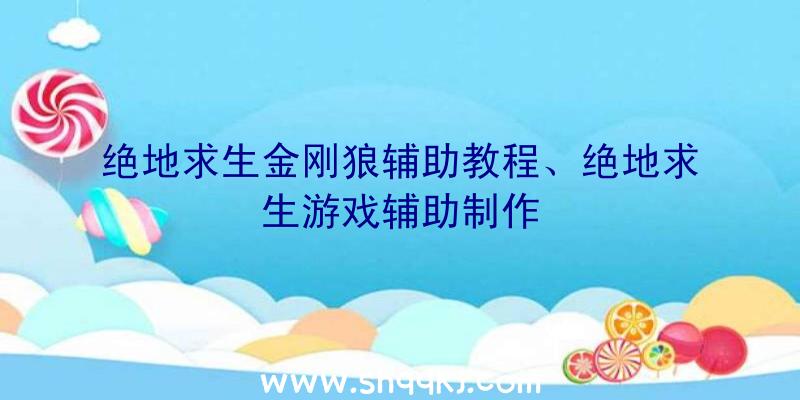 绝地求生金刚狼辅助教程、绝地求生游戏辅助制作