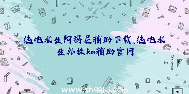 绝地求生阿玛尼辅助下载、绝地求生外挂km辅助官网