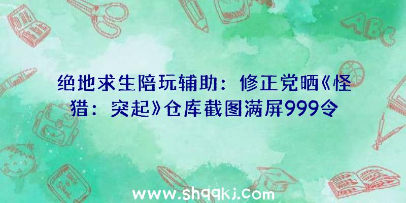 绝地求生陪玩辅助：修正党晒《怪猎：突起》仓库截图满屏999令其他玩家肝疼