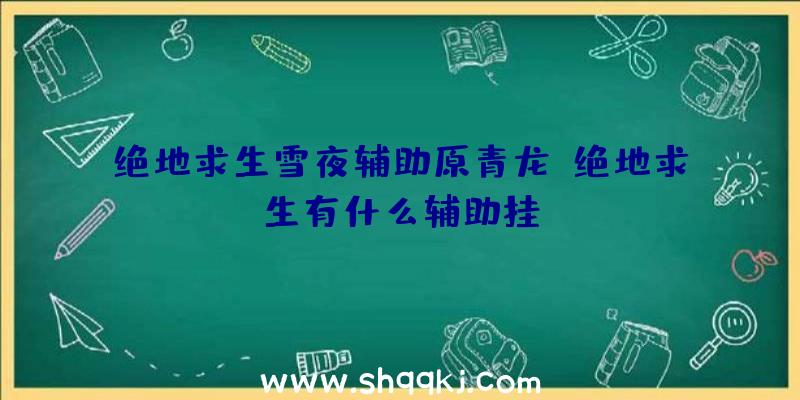 绝地求生雪夜辅助原青龙、绝地求生有什么辅助挂