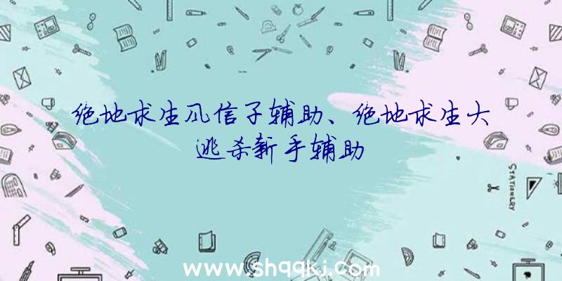 绝地求生风信子辅助、绝地求生大逃杀新手辅助