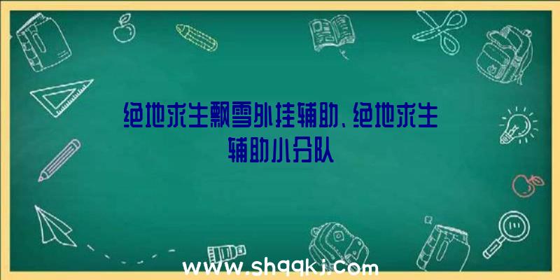 绝地求生飘雪外挂辅助、绝地求生辅助小分队
