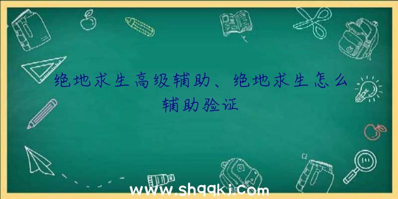 绝地求生高级辅助、绝地求生怎么辅助验证