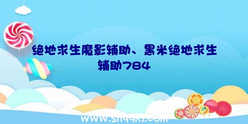 绝地求生魔影辅助、黑米绝地求生辅助784