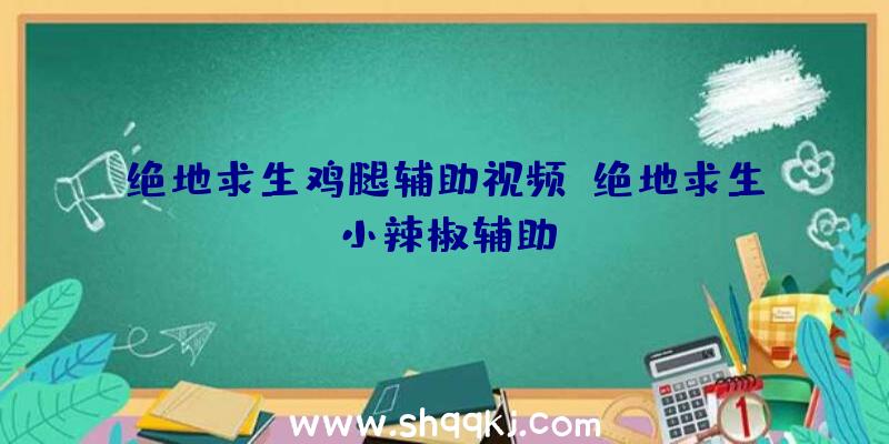 绝地求生鸡腿辅助视频、绝地求生小辣椒辅助