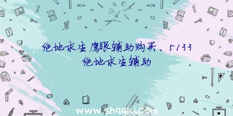 绝地求生鹰眼辅助购买、5133绝地求生辅助