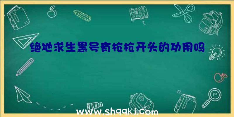 绝地求生黑号有枪枪开头的功用吗