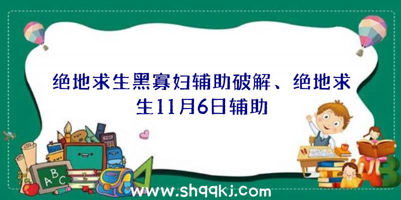 绝地求生黑寡妇辅助破解、绝地求生11月6日辅助