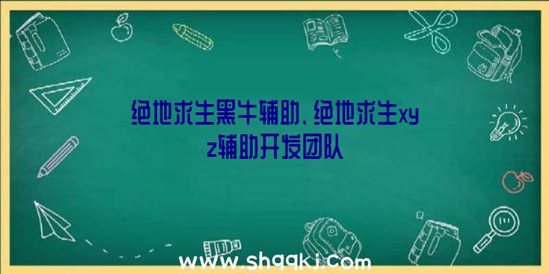 绝地求生黑牛辅助、绝地求生xyz辅助开发团队