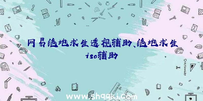 网易绝地求生透视辅助、绝地求生iso辅助