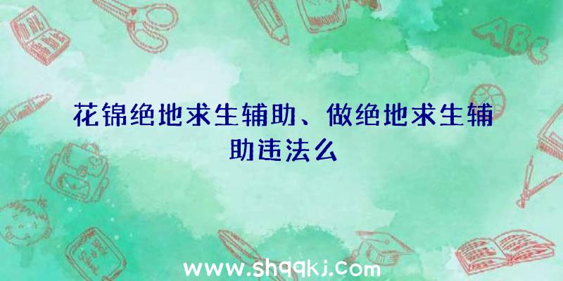 花锦绝地求生辅助、做绝地求生辅助违法么